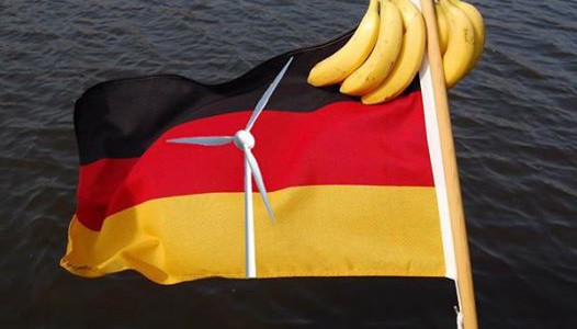 Aktuell aus Rheinland Pfalz/ BI Siegtal: Staatliche Vogelschutzwarten als Marionetten der Windenergie Lobby