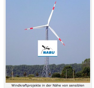 Neues Helgoländer Papier zu Abstandsregelungen: Bei vielen sensiblen Vogelarten wurde Abstandsempfehlung zu WEA reduziert, beim Rotmilan hingegen von 1000m auf 1500 m erhöht.