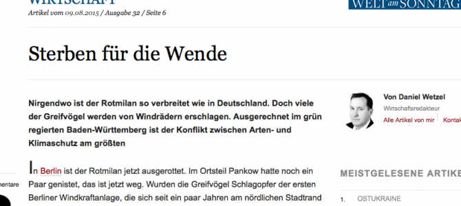 Energiewende auf Kosten des Rotmilans – Bericht aus „die Welt“ vom 09.August 2015