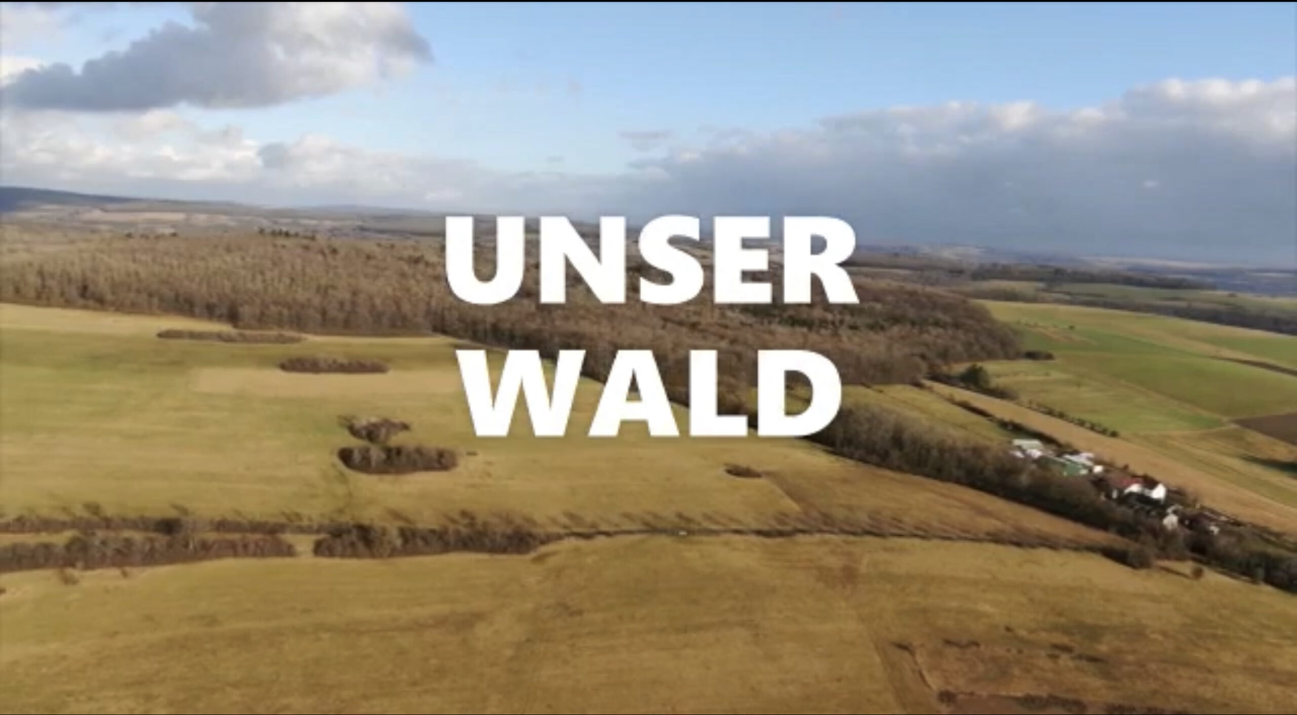 Das Video zu den dramatischen Folgen für die Natur und die umliegenden Dörfer durch des Bau von Windindustrieanlagen im Wald des Allenbergs.